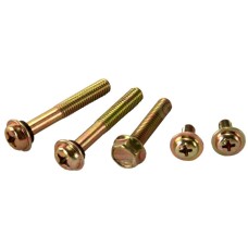 231388 CARGO Винт / Болт